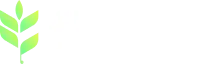 Flowfye Logo
