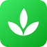pagifye logo